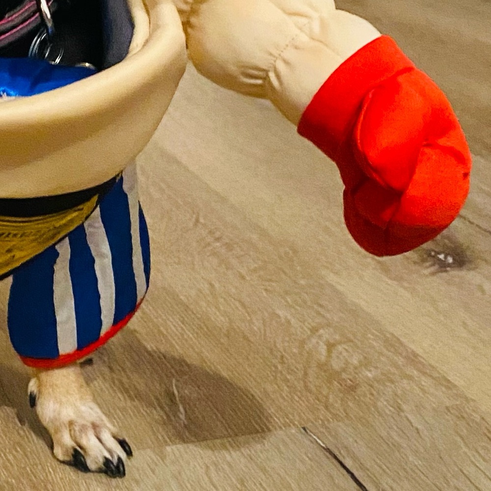 EUC [Halloween Costumes] Pro Boxer + Belt Dog Cat Pet Halloween Costume Sz Small - Picture 7 of 10